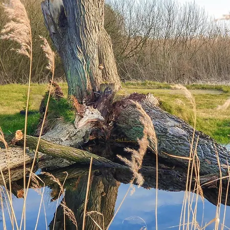 펜션 3 Bedroom Awesome In Zieleniewo (Stargard)